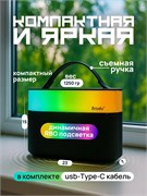 Портативная колонка Brody BTS-2189 2SlpdJPugagxH75lyhULX1