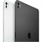 iPad Pro 11 M4 256gb Wi-Fi s1IV-zv4j02-JUsoorMAR1